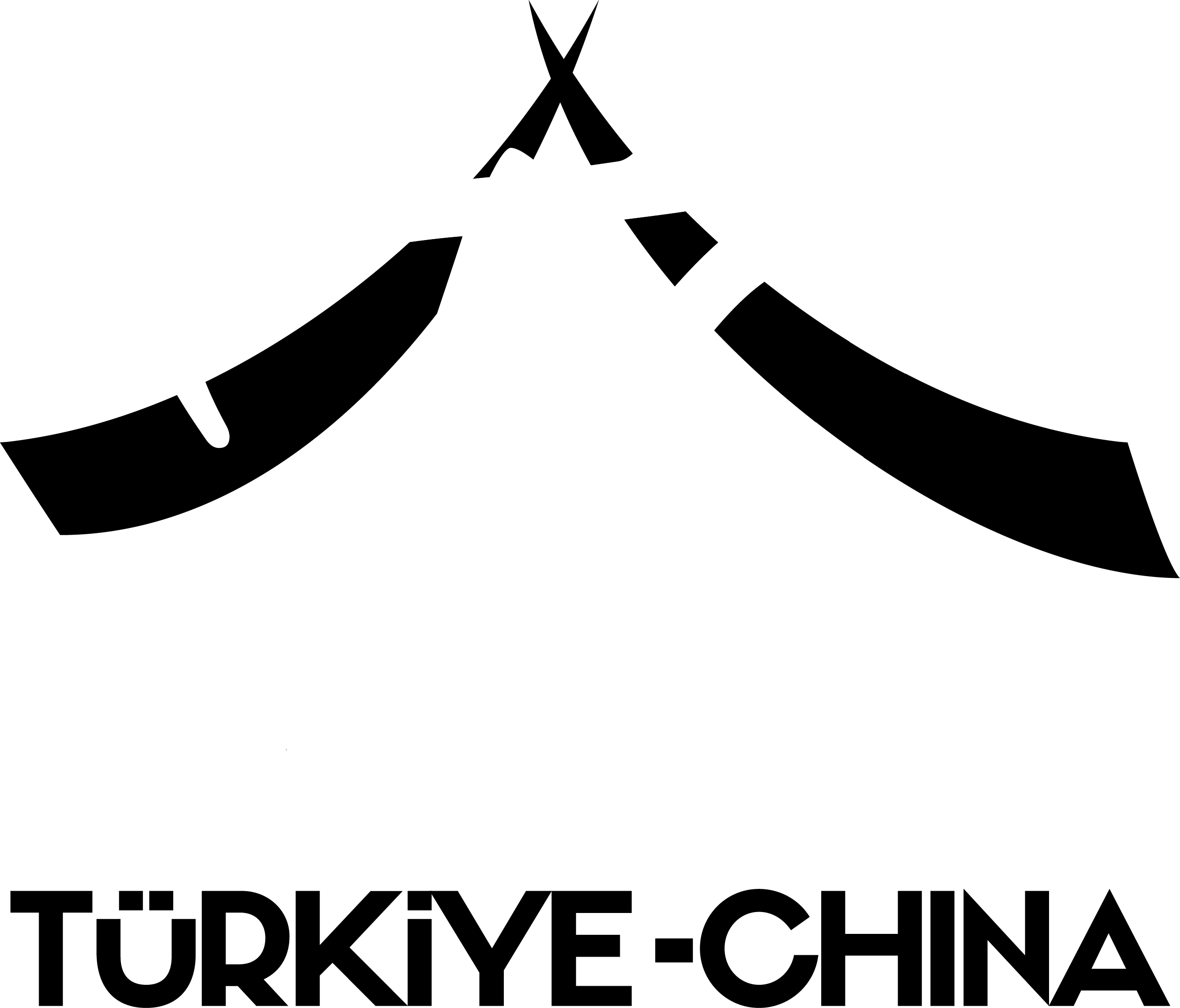 Turkiye - China News - Logo